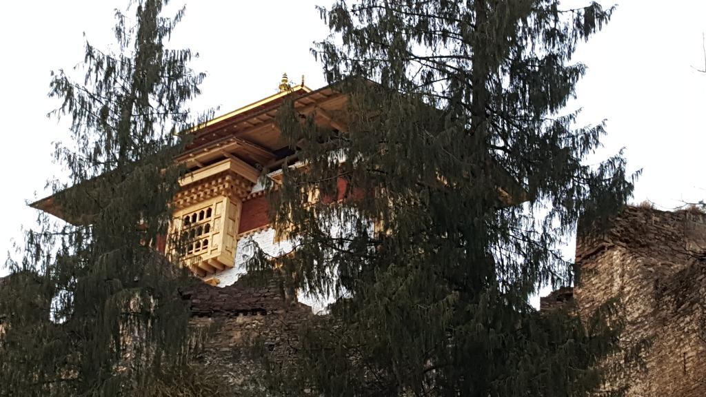 Rema Resort Paro Zewnętrze zdjęcie